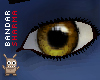 (BS) Yellow Eyes
