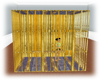 Golden Jail