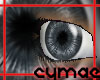 [Cy]Grey Eyes