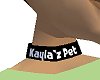 kayla'z pet