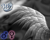 White Wisp Angel Wings