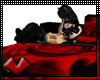 (V) Passion Couples Bed