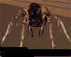 poison spider