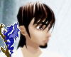 Brown w blond streaks