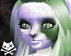 Wasabi Hisashi