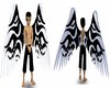 black n white wings
