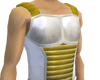 S S Armor