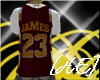 [HE] 23 LJ JERSEY