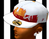 [bkg]ATL.Fitted