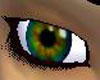 Real Eyes