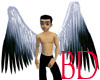Panda Angel Wings