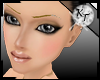 :KT: 03Model - 12 -