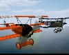 dark ocean flyer