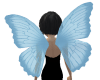 Turquoise wings