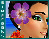Hawaiian Iris