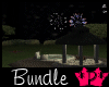 *P* Fireworks at Night