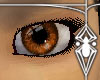 Cinnamon Eyes