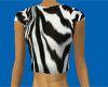 Zebra T Shirt