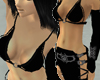 Dark Princess Warrior