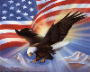 Eagle Flag Room