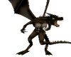 Black headed Dragon