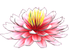 sticker_3157815_4657907