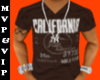 [MV]Hollister (Brown)