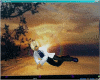 Product Image for sunset