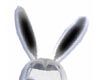 Bunny Ears White