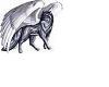 SWA Winged Wolf