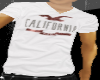 [F]Hollister Cali