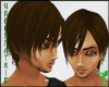 GF-Ada Walnut Hair