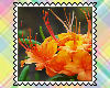 Spring/Sum-FlowerStamps