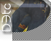 -Dt-.`Rock splash Jeans1