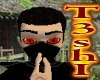 Ninja Seals (animated)