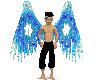 Skys Blue Wings