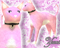 Yumi Neko - Sakura