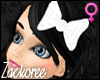 KP* Bow