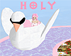 Adorable Swan Lake