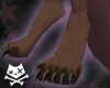 Anyskin Claws - Black F