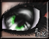 *T! Dragon Eyes