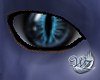 Cagon Eyes Sky