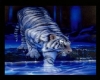 White Tiger frame