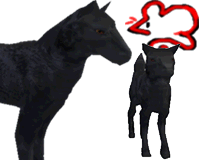 Wolf (black)