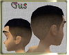 New York Style Fade