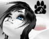 AC White Wolf f
