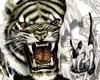 Tiger Dragon Muscle Shir