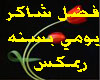 fadelshaker-ywomy