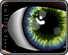 *L� iSheen Aqua 2