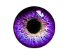 Purple Eyes